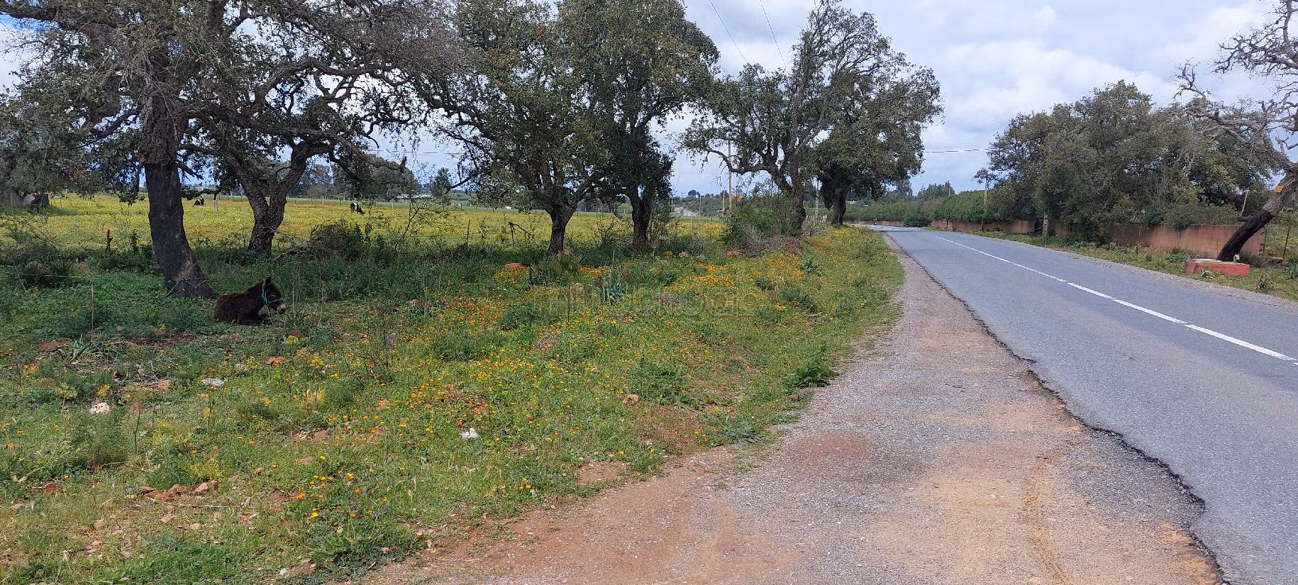 Vends 1 hectares 270 ha à ben sliman sur goudron