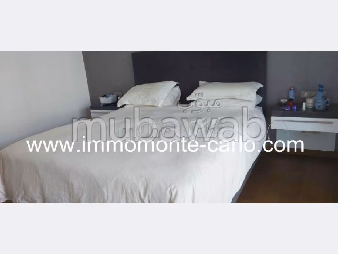 Appart haut standing meublé avec grande terrasse