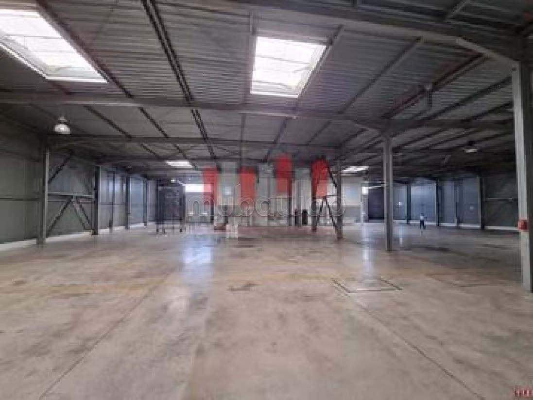 Affitta il locale commerciale perfetto per te. Superficie 1702 m². 