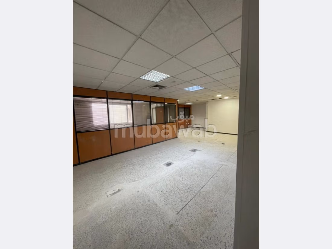 Plateau de bureau LPB677 de 250 m² à Palmier