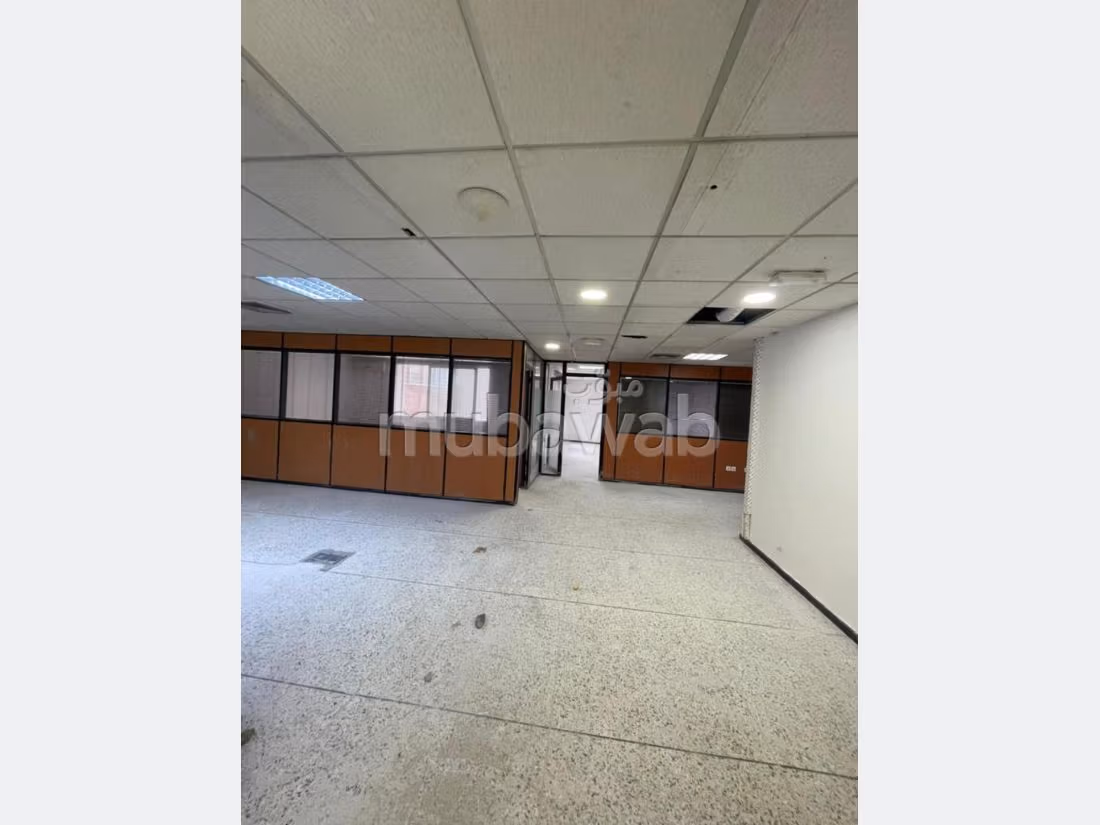 Plateau de bureau LPB677 de 250 m² à Palmier