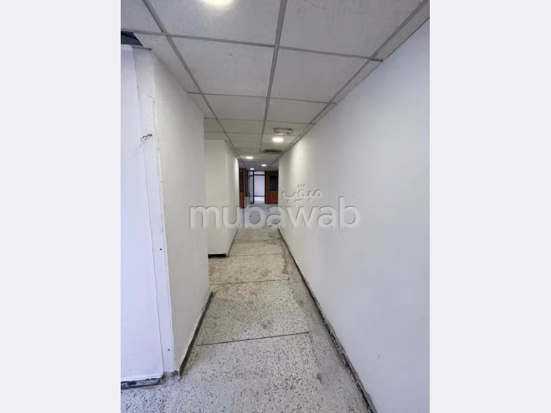 Plateau de bureau LPB677 de 250 m² à Palmier
