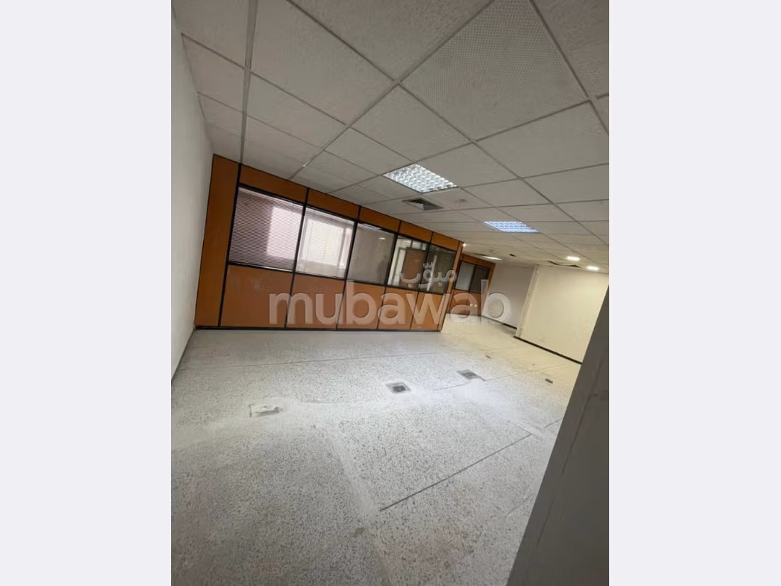 Plateau de bureau LPB677 de 250 m² à Palmier