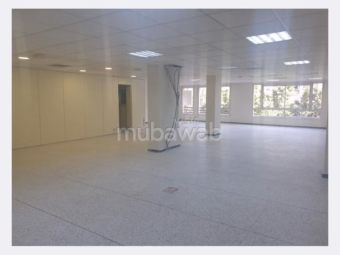Plateau de bureau LPB677 de 250 m² à Palmier