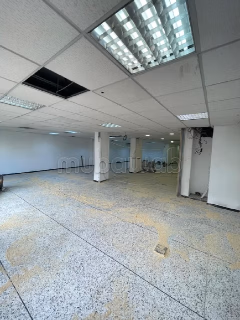 Plateau de bureau LPB677 de 250 m² à Palmier