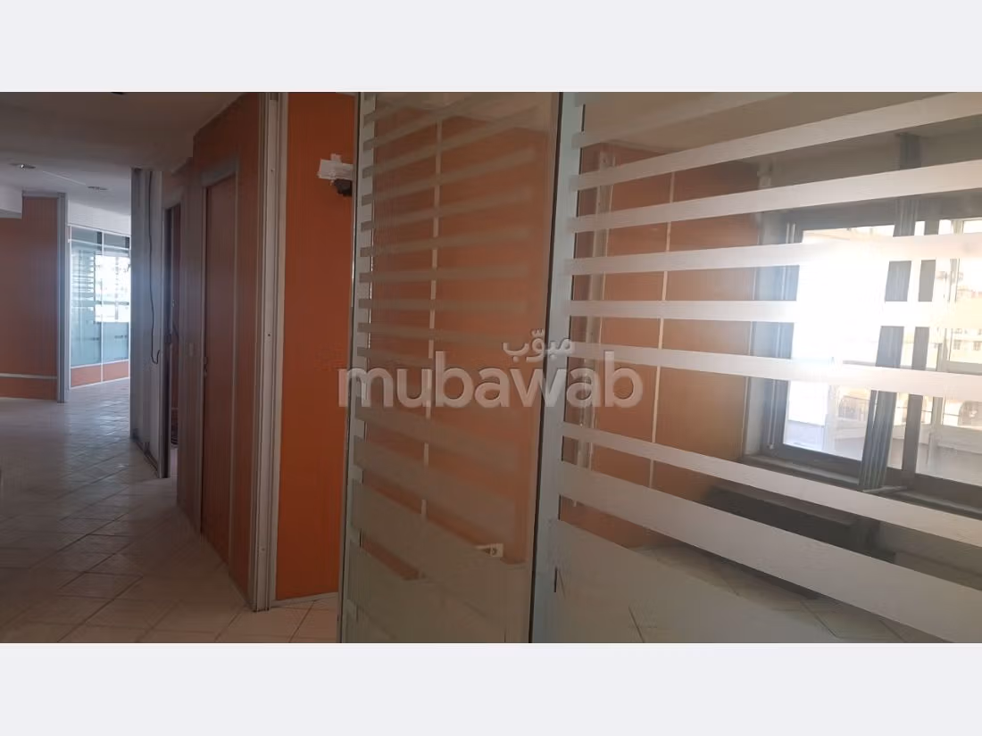 Plateau LPB518 de 800 m² à Alsace Lorraine