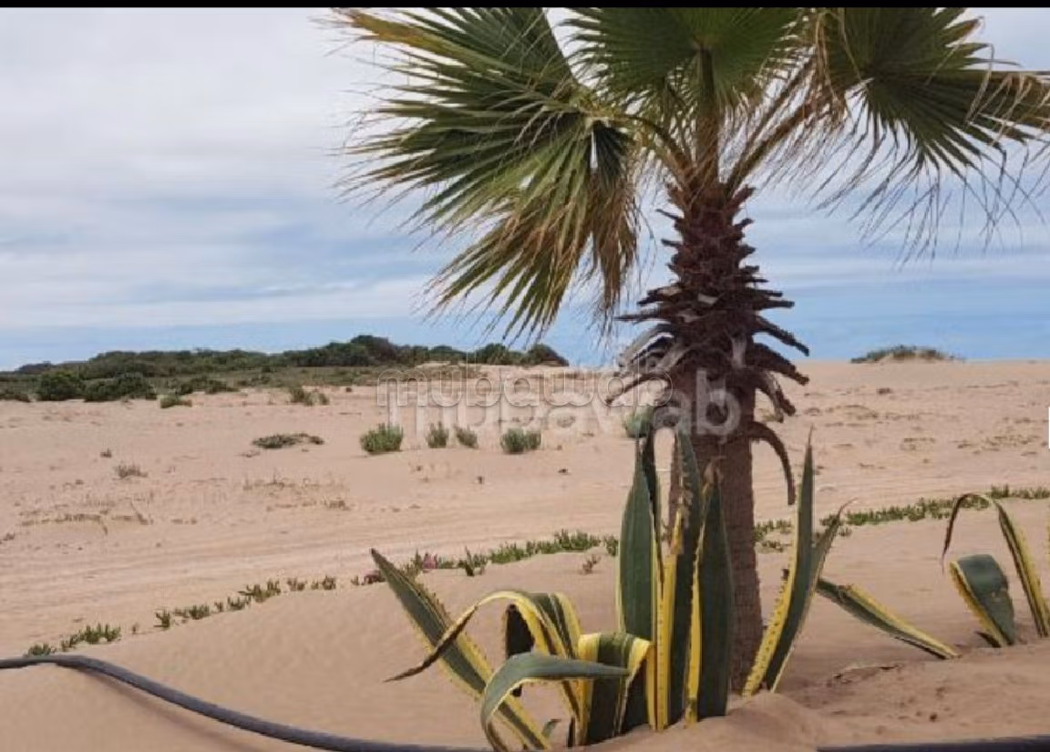 Find an apartment for rent. Total area 105 m². Traditional living room and satellite dish system