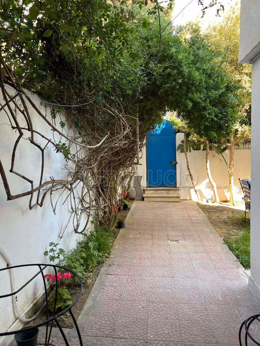 Bel appartamento arredato S2 con grande giardino