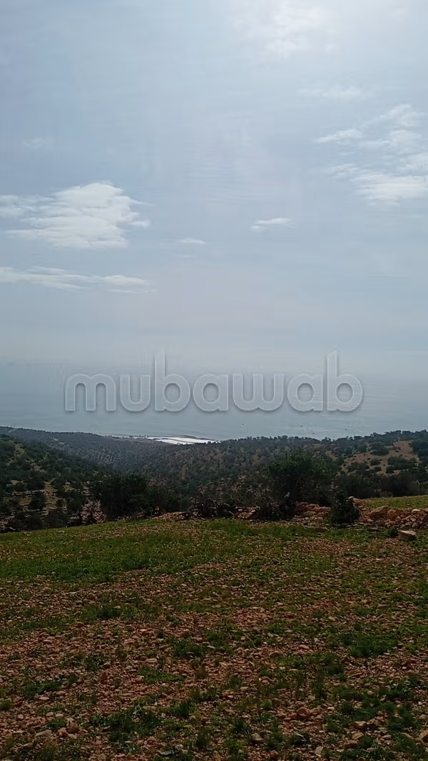 Terrain 4800 m2 titre avendre azazoul vue mer taghazout