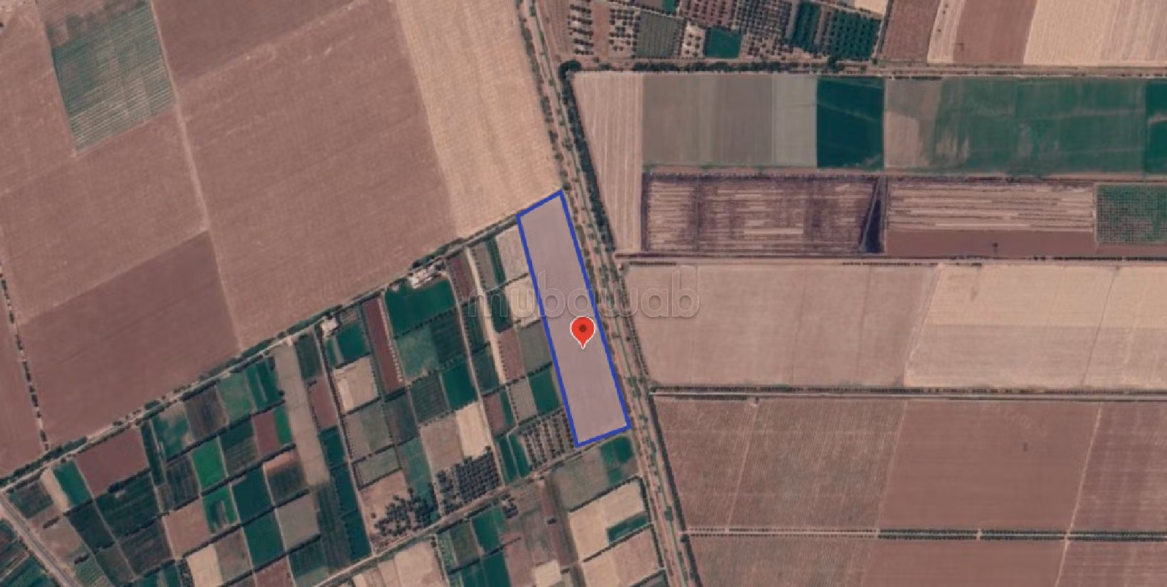 Land for sale. Large area 46100 m². 