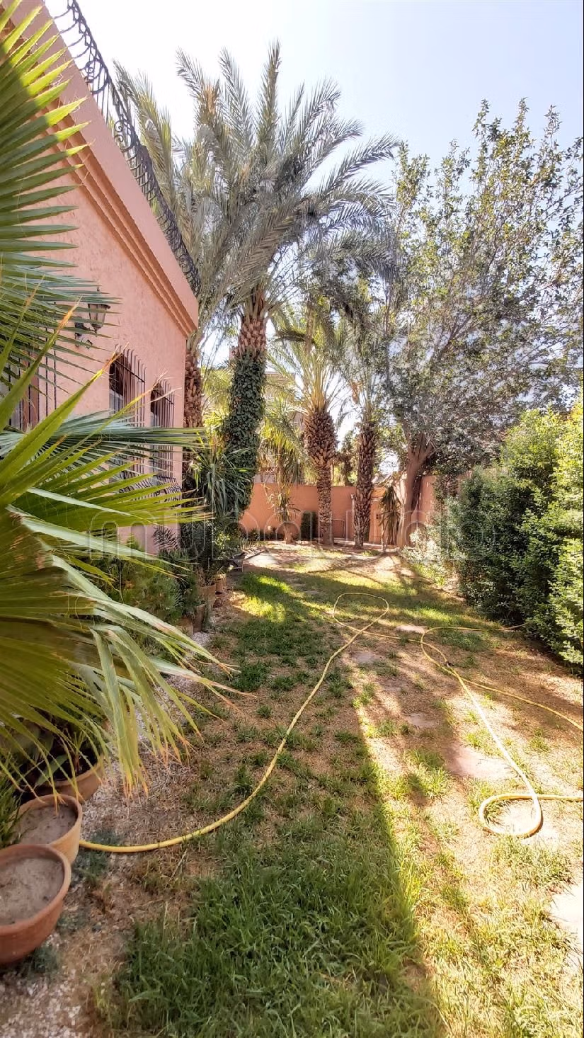 SOFIA / près du QUICK / pas de VIS A VIS