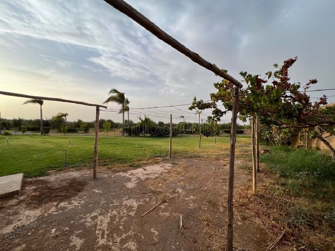 Farm for sale in Route d'Agadir - Essaouira. Dimension 40300 m². Car park. 