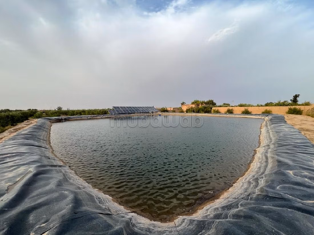 Farm for sale in Route d'Agadir - Essaouira. Dimension 40300 m². Car park. 