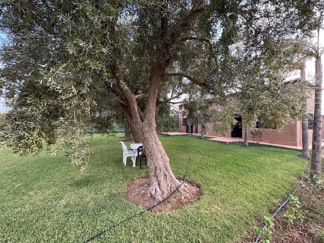 Farm for sale in Route d'Agadir - Essaouira. Dimension 40300 m². Car park. 