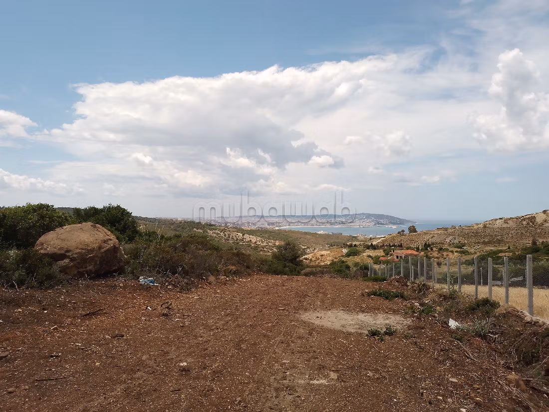 Terrain titre a tanger feddan chappo