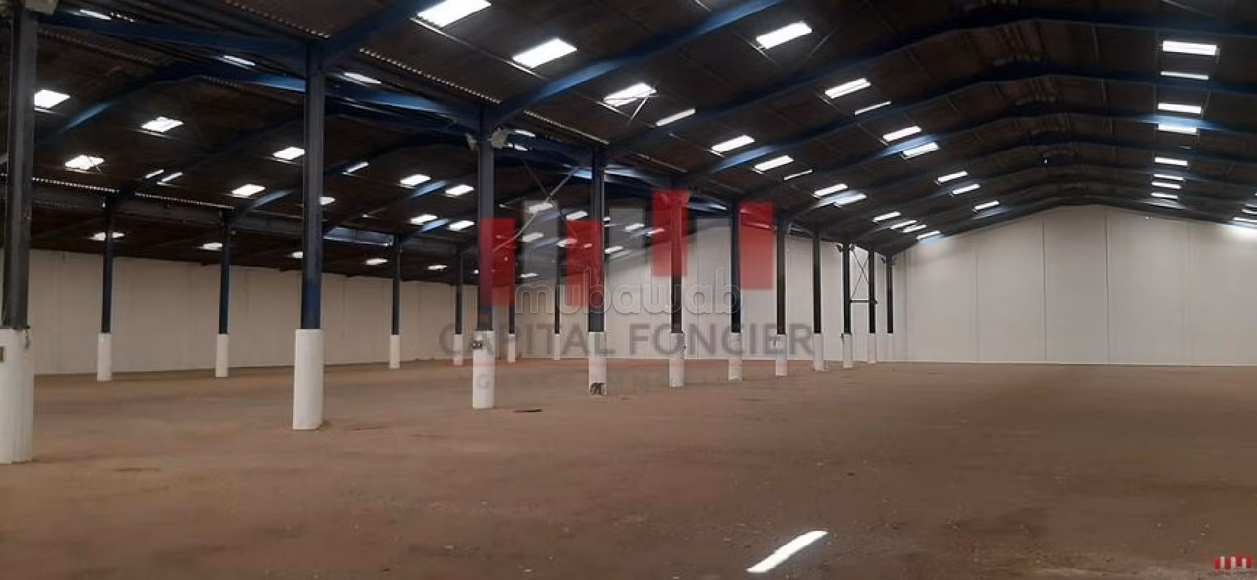 Offices & shops to rent. Surface area 8500 m²