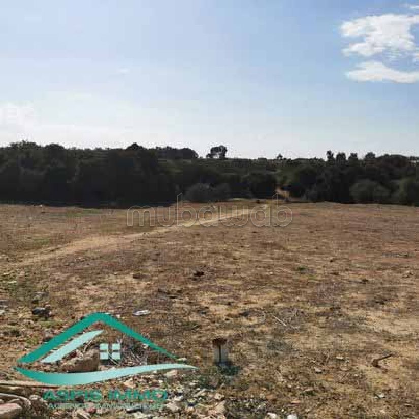 Terrain agricole 7226 m² à Kelibia