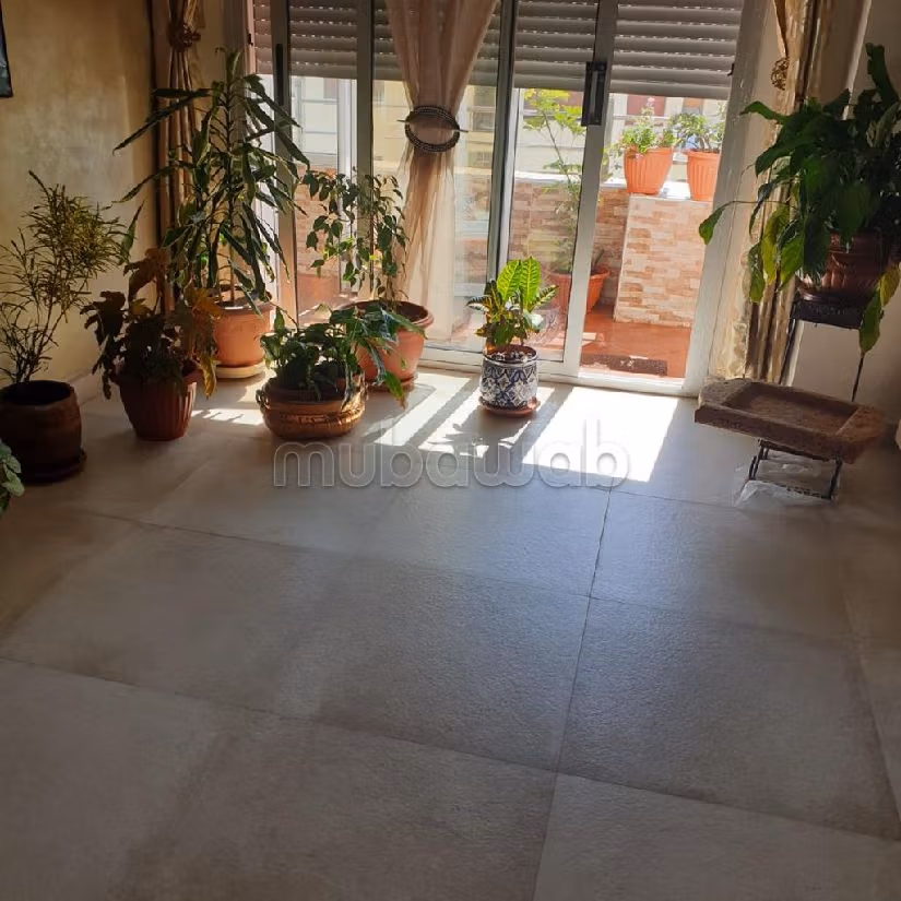 Appartement au centre ville