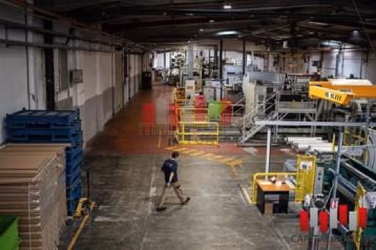 Offices & shops to rent in Zone Industrielle. Large area 6600 m². 