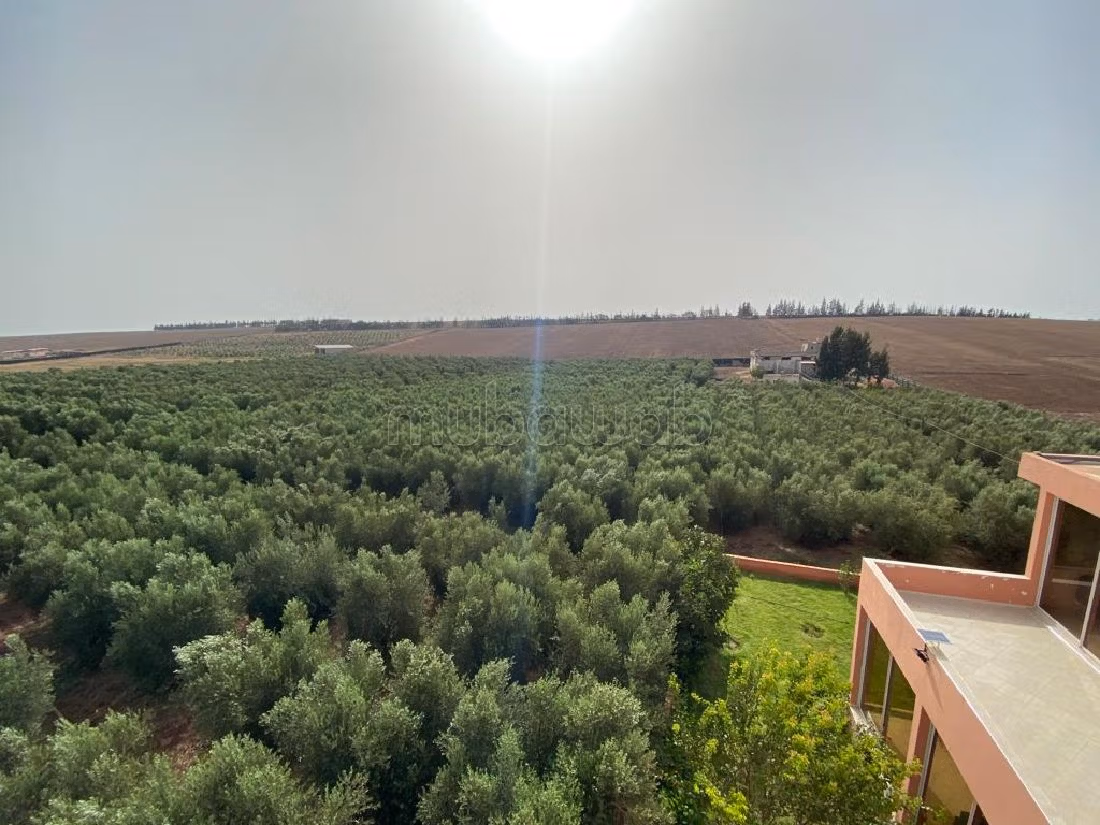 Nice farm for sale in Hay Al Kamal. Area 75000 m². Secured 24/7