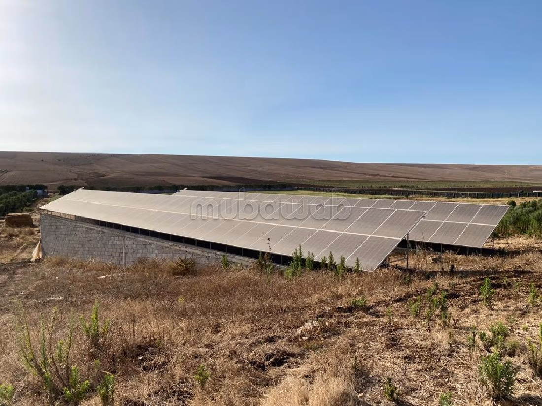 Nice farm for sale in Hay Al Kamal. Area 75000 m². Secured 24/7