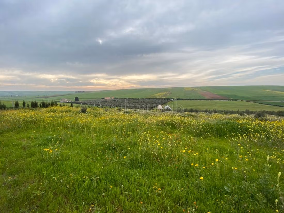 Nice farm for sale in Hay Al Kamal. Area 75000 m². Secured 24/7