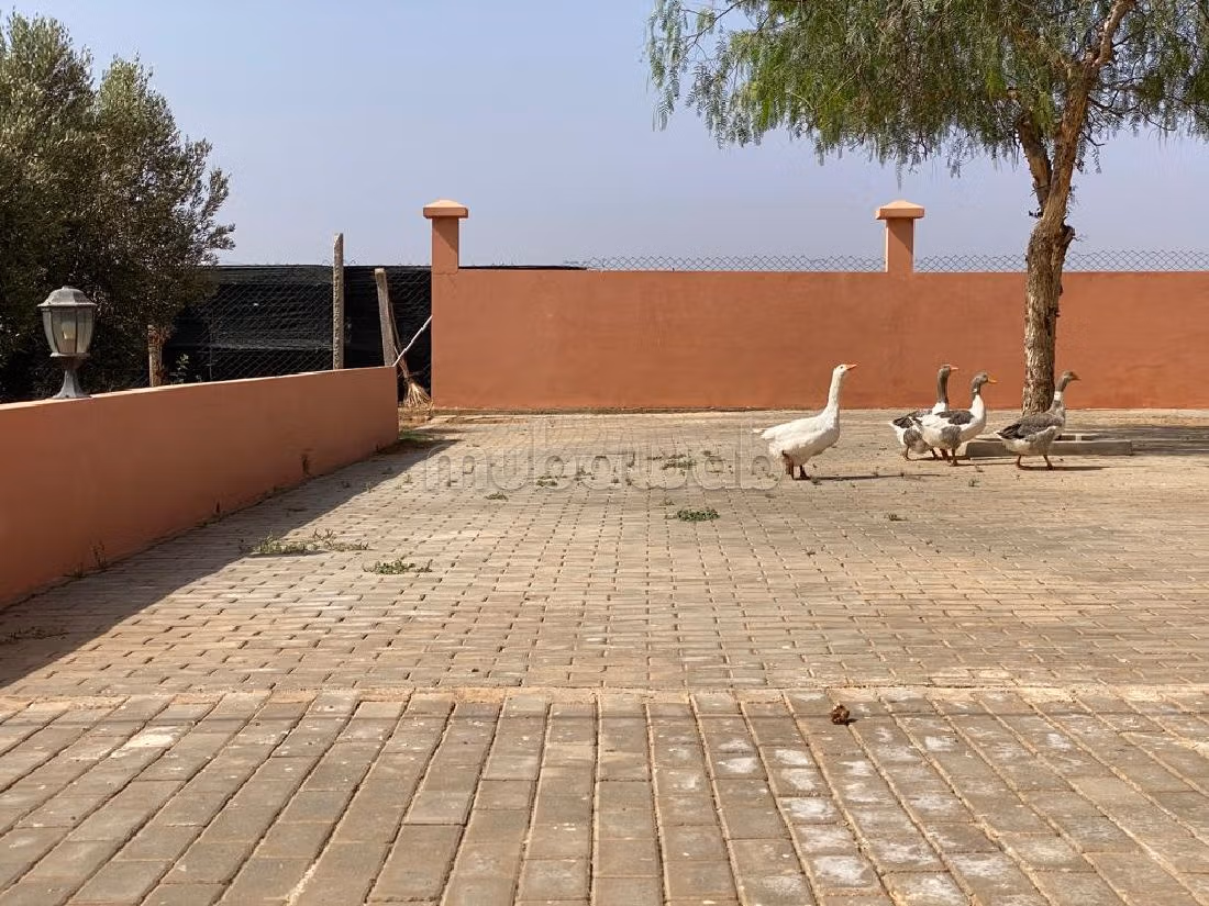 Nice farm for sale in Hay Al Kamal. Area 75000 m². Secured 24/7