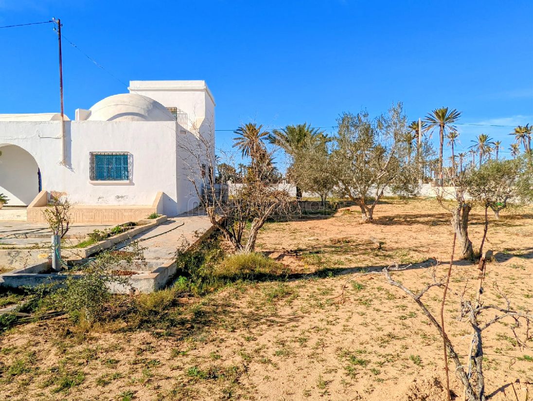 The four season house