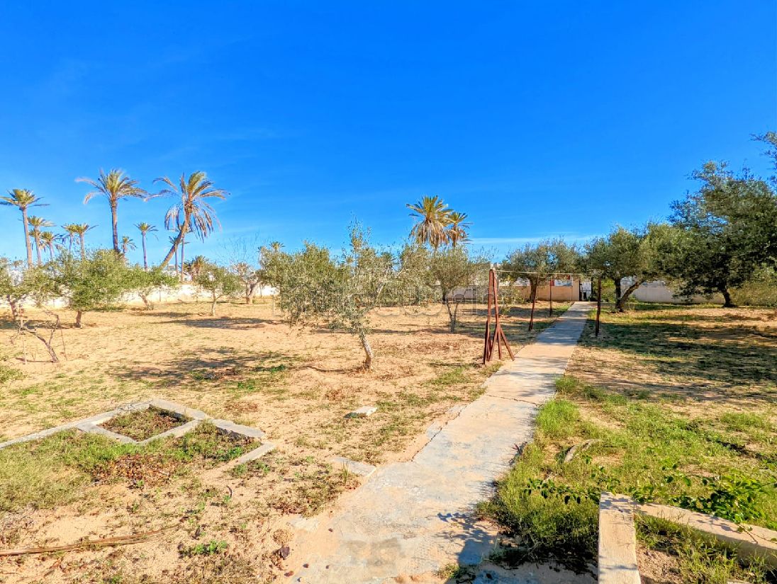 The four season house