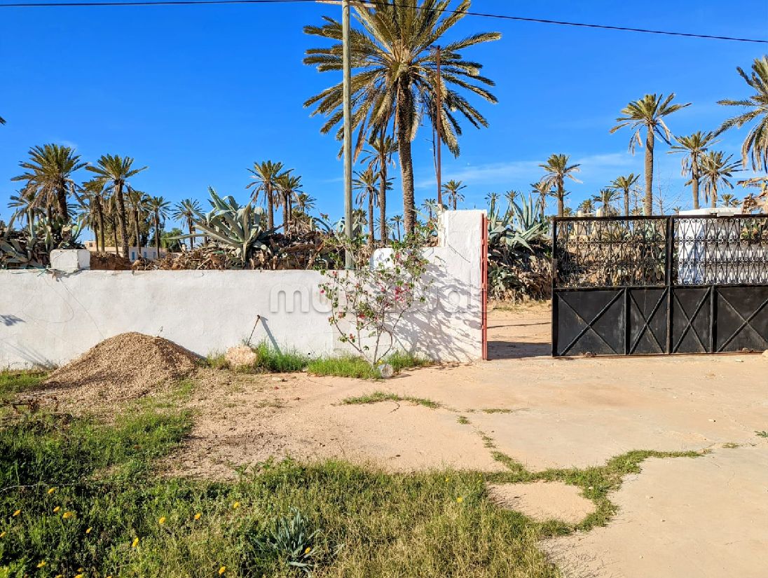 The four season house