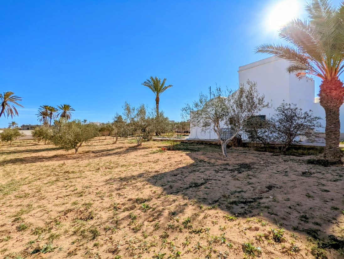 The four season house