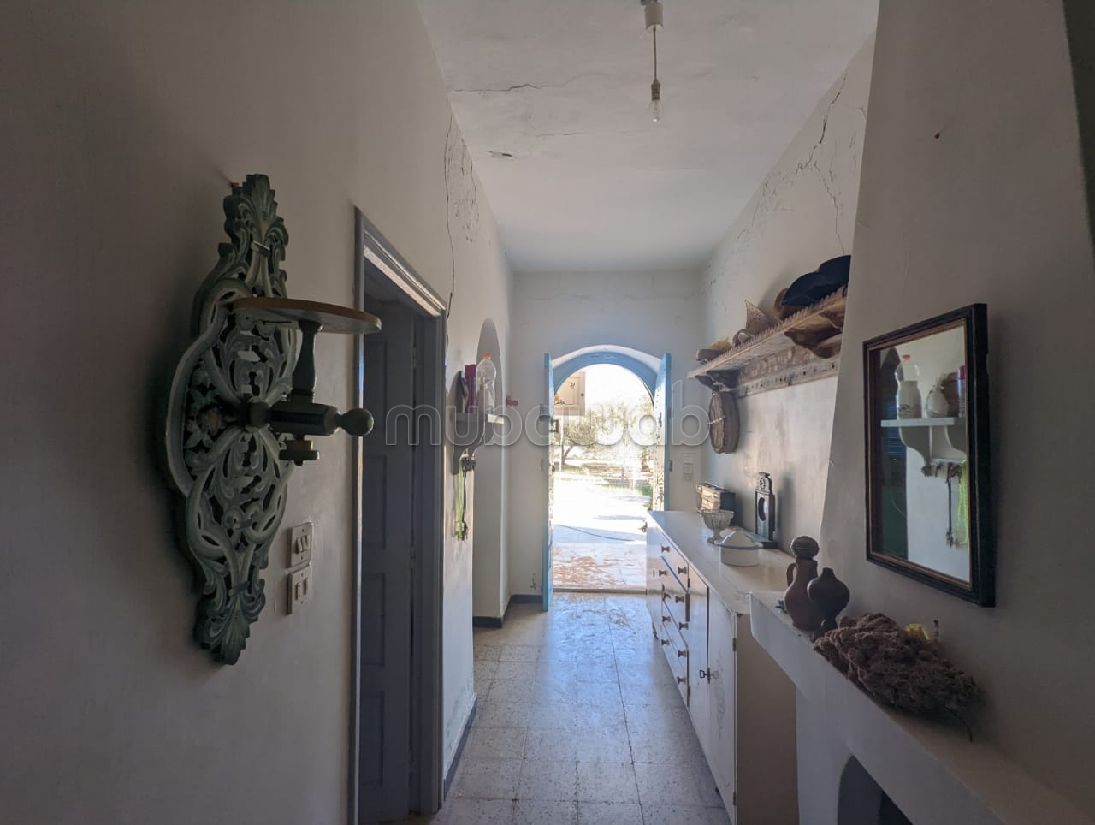 The four season house