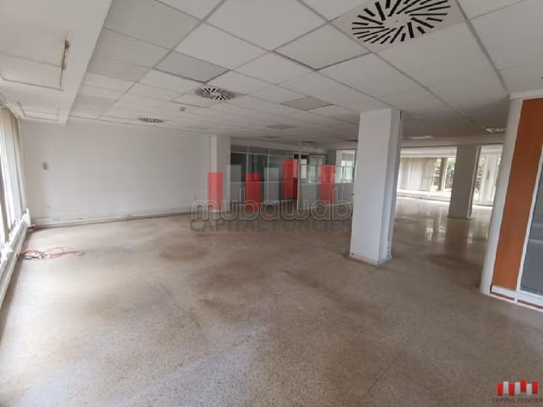 Plateau bureau de 600m2 à la location immeuble professionnel LA COLLINE