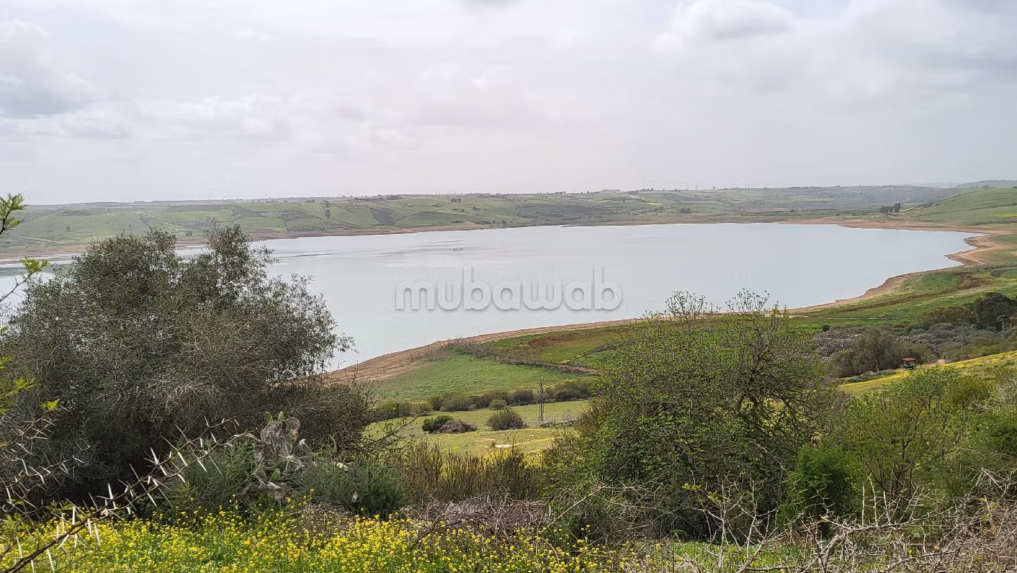 Trova la fattoria ideale a Technopolis. Superficie 45000 m².