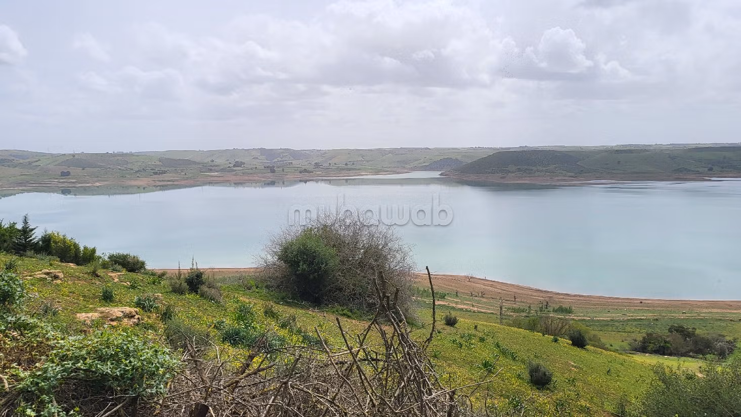 Trova la fattoria ideale a Technopolis. Superficie 45000 m².