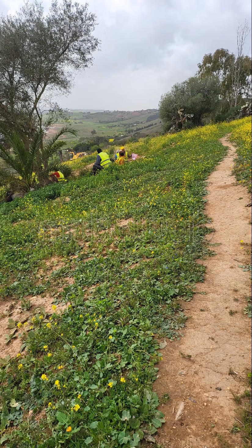 Trova la fattoria ideale a Technopolis. Superficie 45000 m².