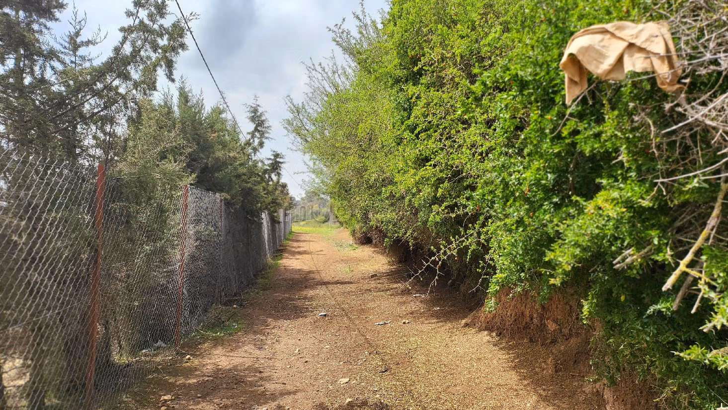 Trova la fattoria ideale a Technopolis. Superficie 45000 m².