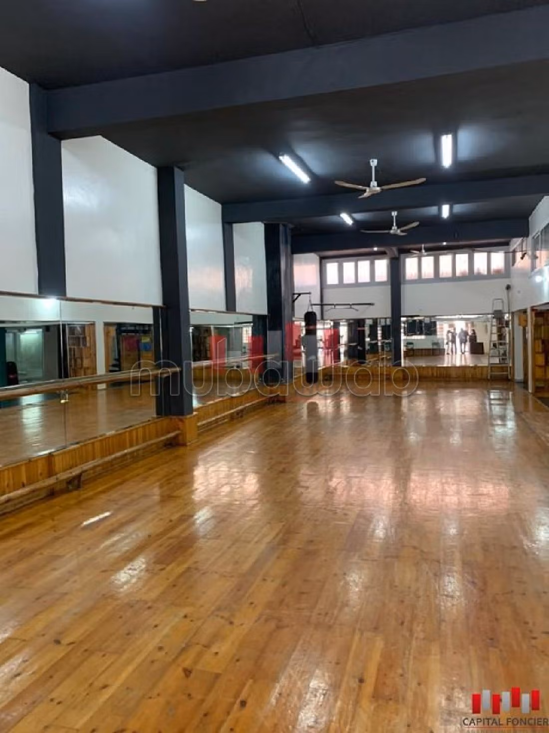 Oficinas y locales comerciales en venta en Bourgogne Est. Pequeña superficie 220 m²