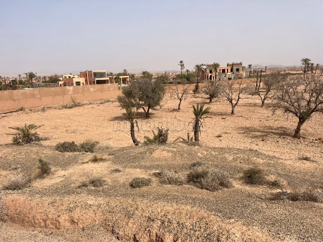 Compra-venta de terrenos en Ennakhil (Palmeraie). Área total 34070 m². 