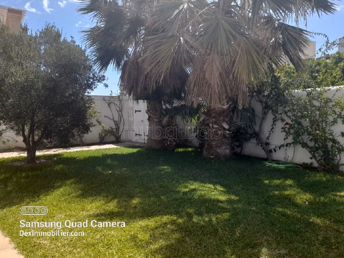 Luxury villas & houses for rent in Yasmine Hammamet. Large area 500 m². Double glazing, Robust door