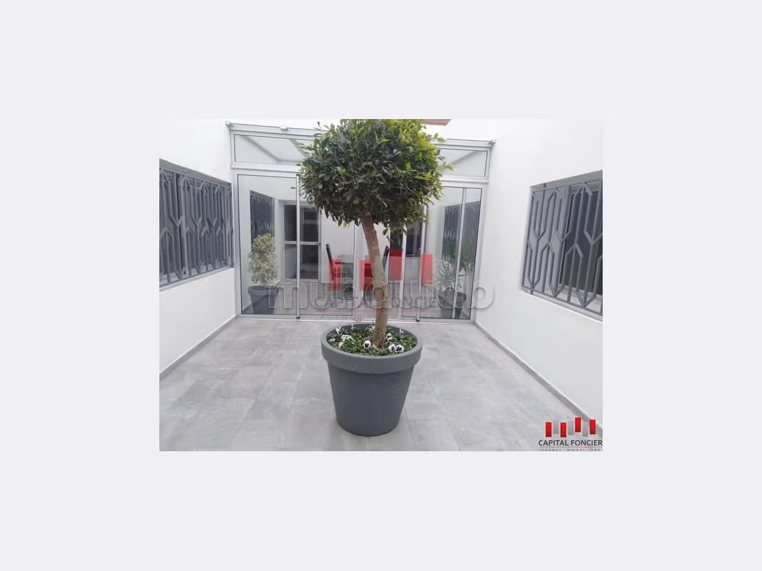 Offices for rent in Lissasfa. Surface area 162 m². Cellar, Large terrace