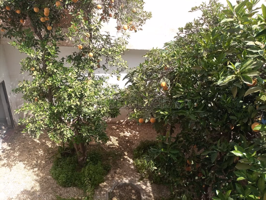 Sontuoso riad in vendita a Assarag. Superficie totale 220 m². Giardino e terrazzo