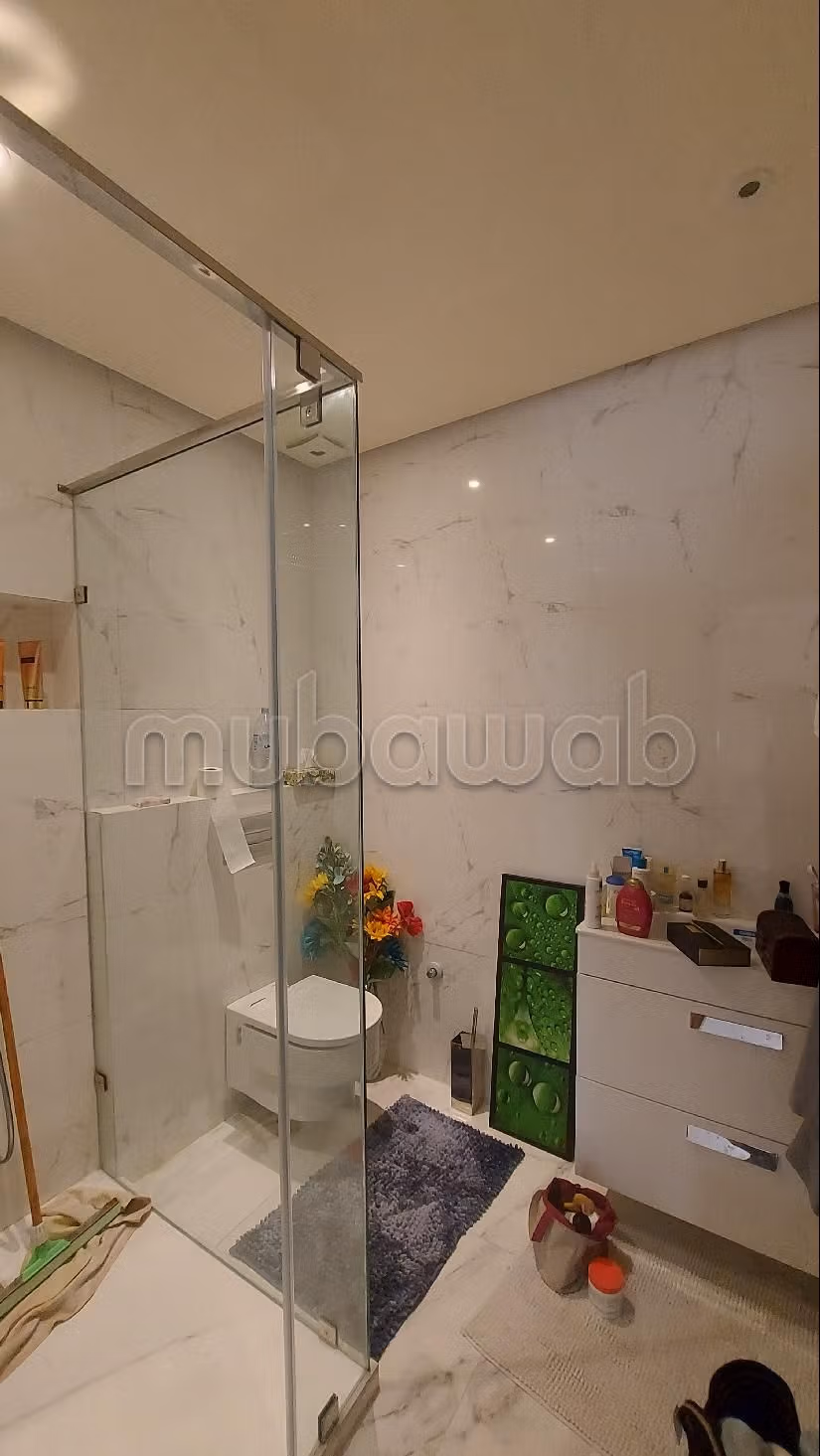 Apt 180 m² 3 chambres terrasse plein ouest