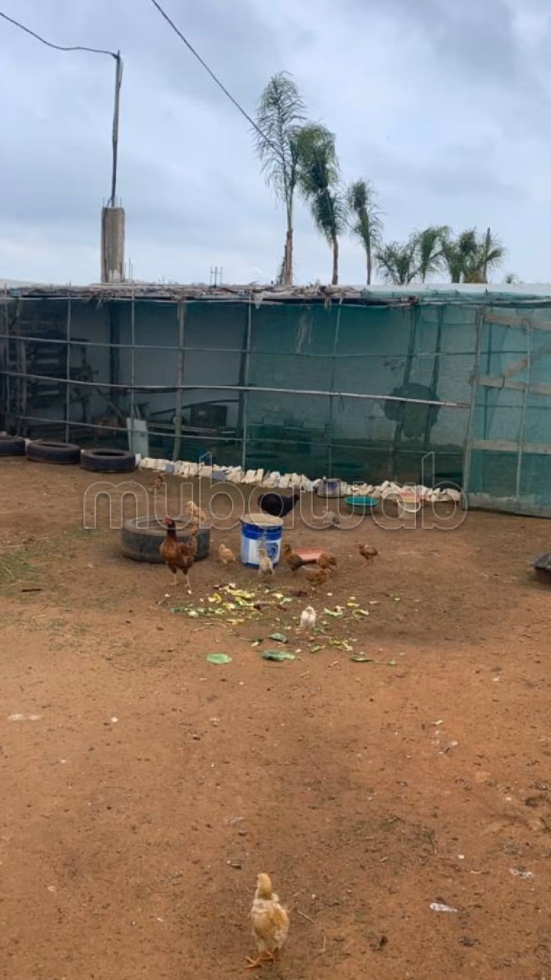 فيلا فاخرة للبيع ب الكوثر. 7 قطع مريحة. شرفة جميلة وحديقة