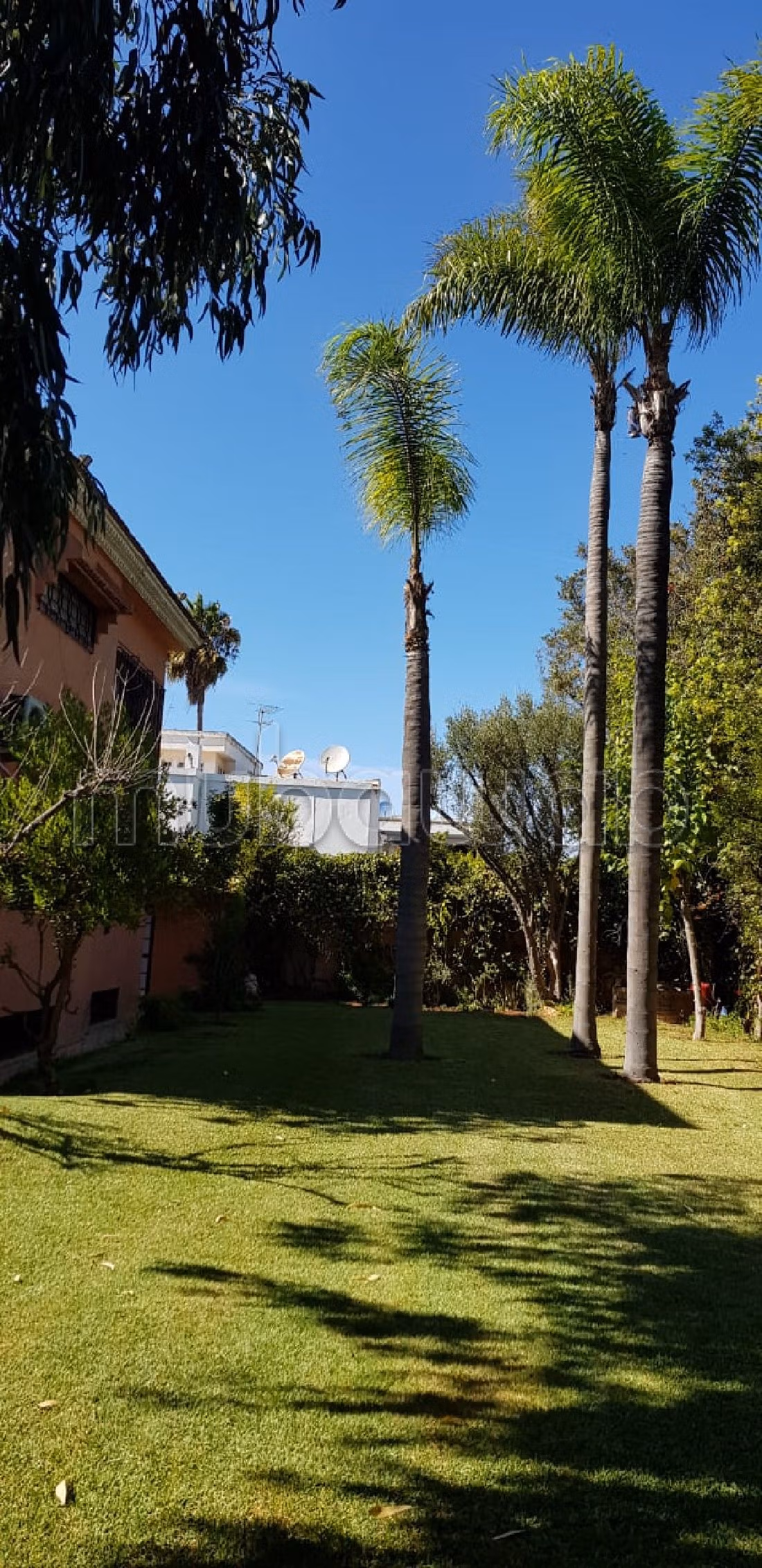 فيلا جميلة للبيع بالأميرات. المساحة الكلية 1062 م². شرفة جميلة وحديقة.