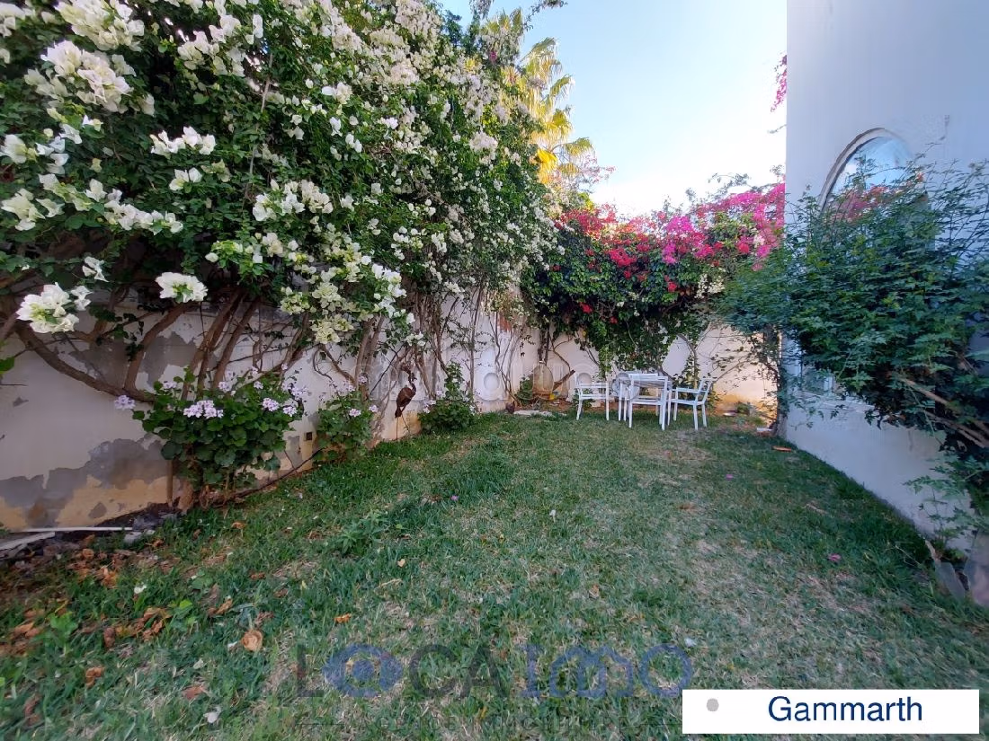 Straordinaria casa di lusso in affitto a Gammarth. Superficie di 600 m². 
