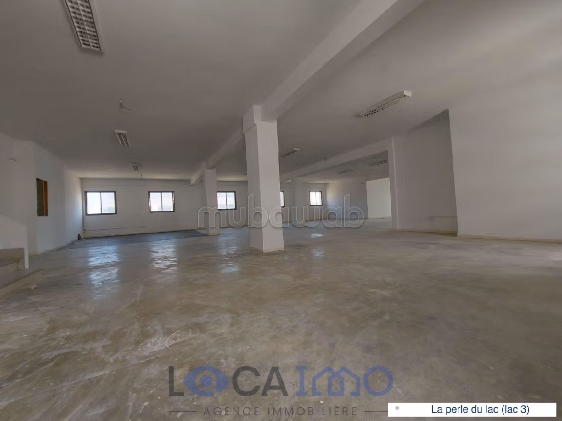 A louer un open space de 760 m² au Lac 3