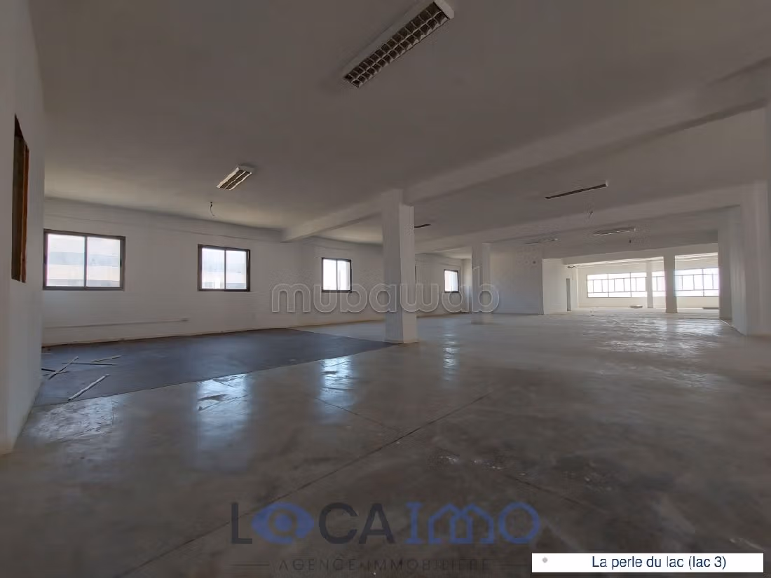 A louer un open space de 760 m² au Lac 3