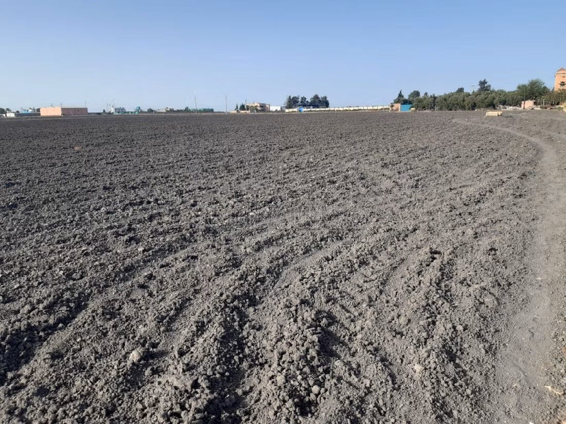 Nice farm for sale. Small area 40500 m². Basement. 