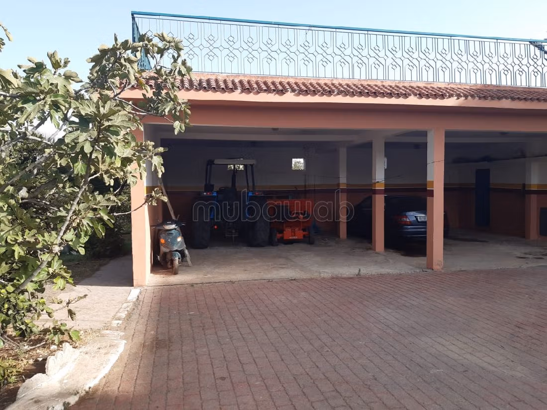 Nice farm for sale. Small area 40500 m². Basement. 